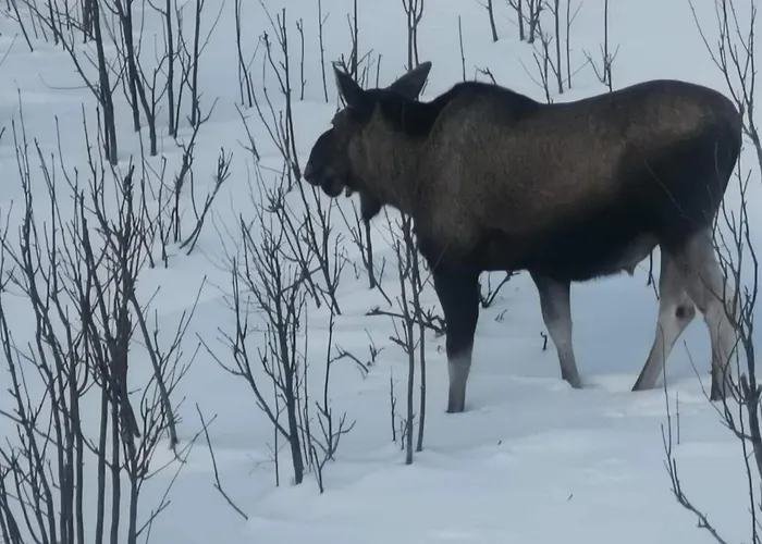 5 Person In アパート